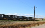 Stored NNW Hoppers